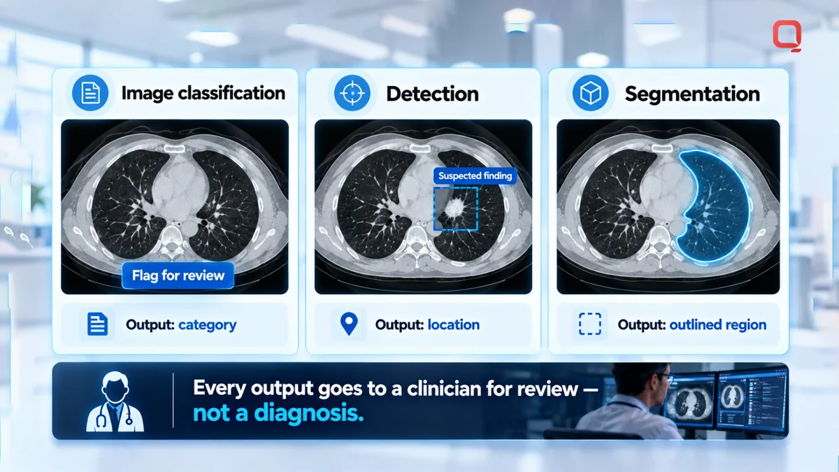 Medical imaging AI tasks compared: image classification assigns a category, detection marks a suspected feature, and segmentation outlines a region, each output going to a clinician for review