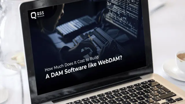 How Much Does It Cost to Build a DAM Software like WebDAM?