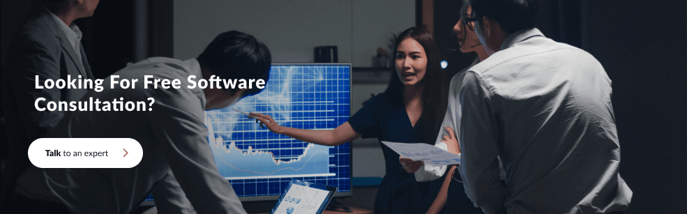 consultant-developer