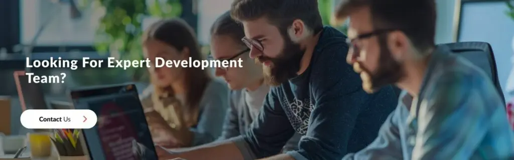 expert dev team