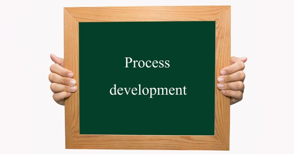 Development Process