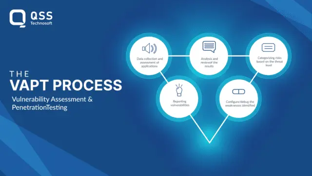 The VAPT Process
