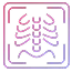 DICOM & PACS Software DICOM & PACS Software