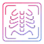 Dicom Viewer