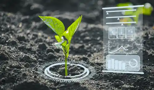 Agriculture