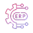 ERP Consulting​