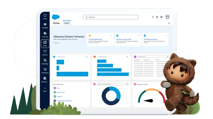 Salesforce Solutions & CRM Services 