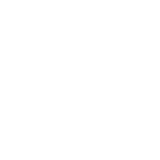 Centralized Wallet Development