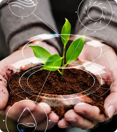 Agriculture Software Development Services Agriculture Software Development Services