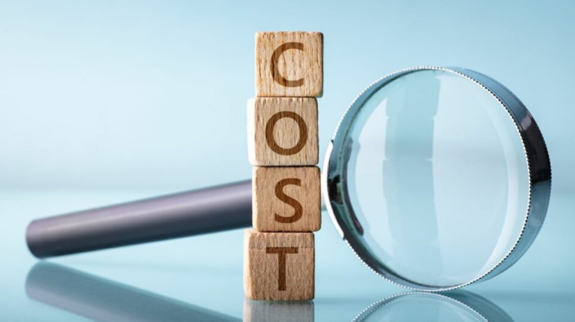 Cost to Develop a Zoom like App