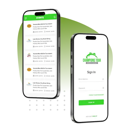 Problem Identification