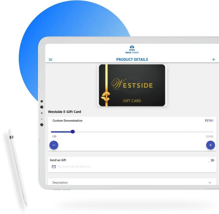 Challenges Faced by Team QSS