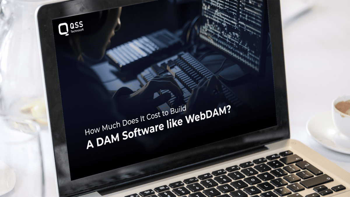 How Much Does It Cost to Build a DAM Software like WebDAM